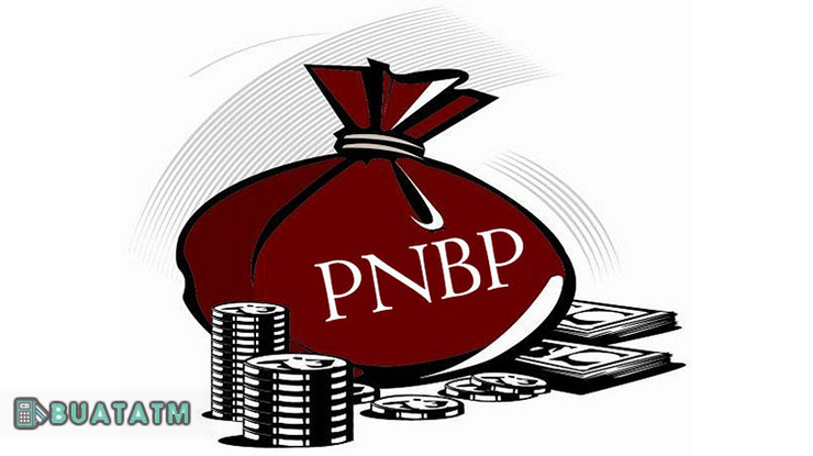 Langkah langkah Bayar PNBP lewat Mobile Banking BRI